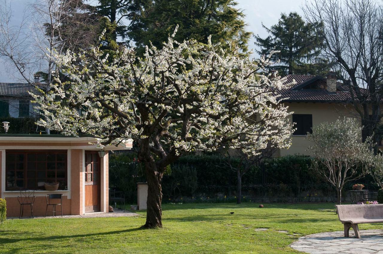 Casetta Del Molo Mandello del Lario Eksteriør bilde
